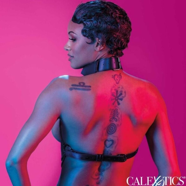 CALEXOTICS - EUPHORIA MULTI CHAIN COLLAR HARNESS 6