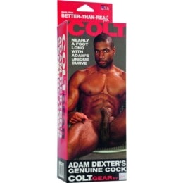 CALIFORNIA EXOTICS - COLT ADAM DEXTERS COCK 2