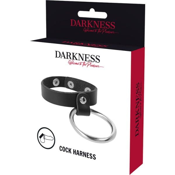 DARKNESS - METAL RING FOR THE PENIS AND TESTICLES 5