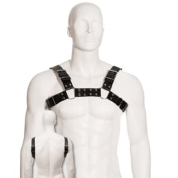 LEATHER BODY - BLACK BULL DOG HARNESS 2